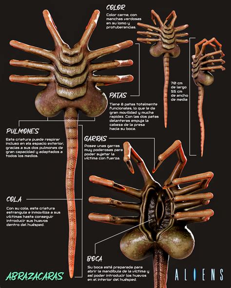 facehugger rule34|Rule34 .